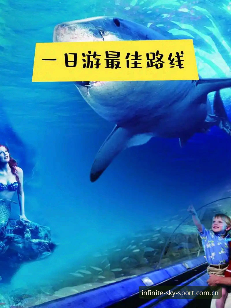 5个关键步骤：星空体育怎么下载推荐与安装全攻略